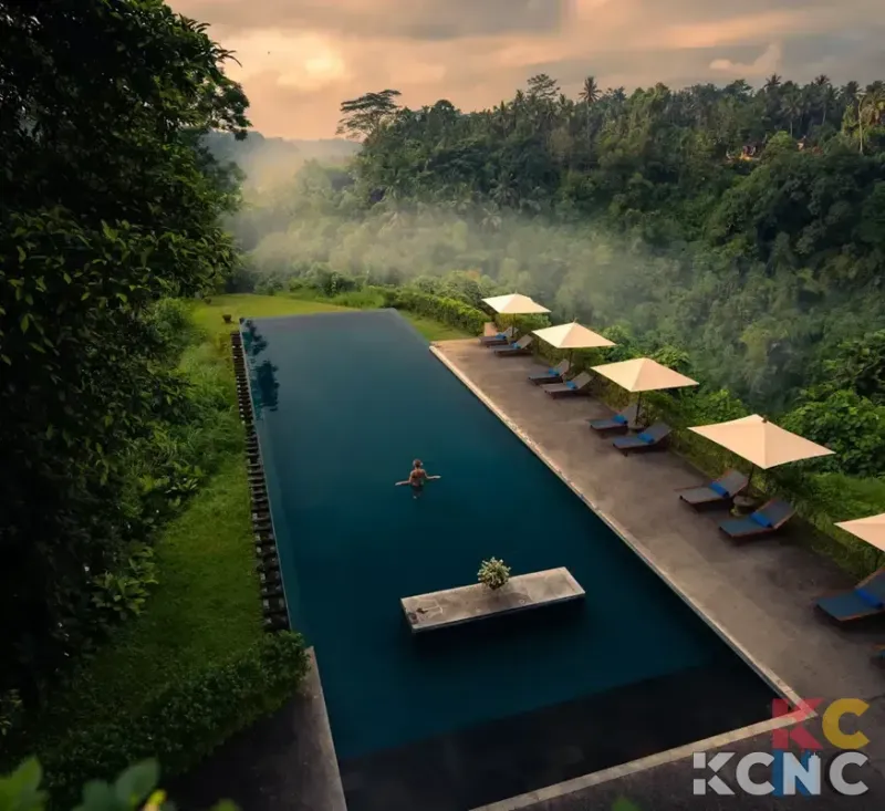 Gencarkan Afiliasi, BUVA Kucurkan Pinjaman Rp5 Miliar ke Anak Usaha