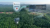 Tepat Target 3 Tahun, BWPT Siap Lepas Ratusan Juta Saham di Bursa: Ada Apa?