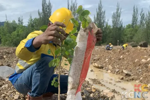 SIG Lakukan Reklamasi Lahan Pascatambang Guna Lindungi Keanekaragaman Hayati
