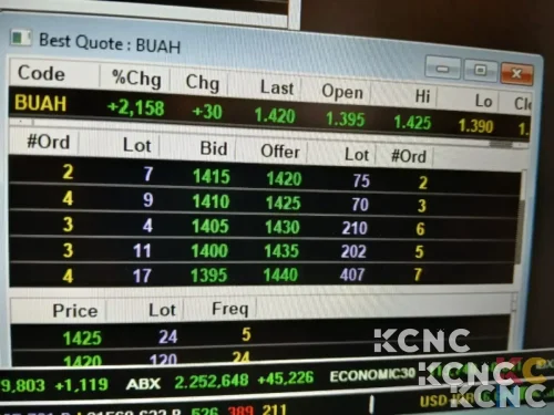 Gelar Aksi Korporasi, Segar Kumala Indonesia (BUAH) Bakal Stock Split Rasio 1:2