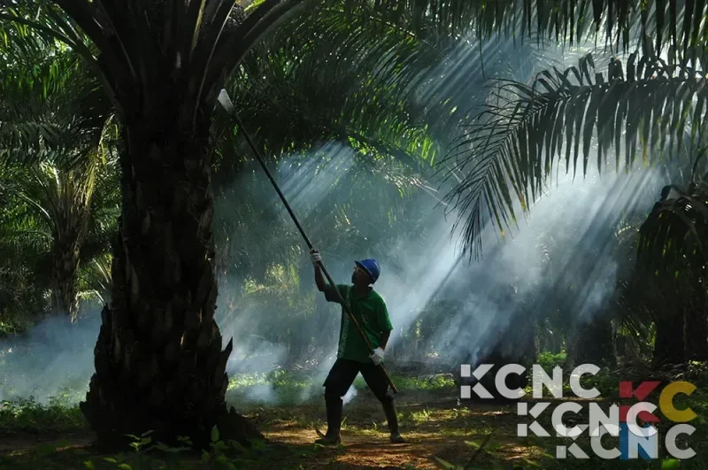 Resmi Jadi Pengendali, AGPA PTE. LTD. Suntik Rp 9,4 triliun Untuk Beli Saham SGRO