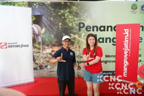Perkuat Komitmen ESG, Simas Jiwa Lestarikan Pesisir Lewat Penanaman Mangrove