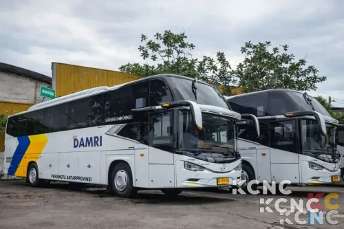 DAMRI Operasikan Rute Jakarta–Denpasar, Hubungkan Jawa hingga Bali Lewat Jalur Darat