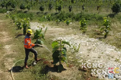 Strategi ESG SIG Dorong Efisiensi dan Tekan Emisi