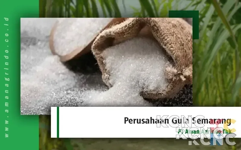 GULA Catat Pertumbuhan Positif Kuartal I 2026, Pendapatan Naik dan Berbalik Laba