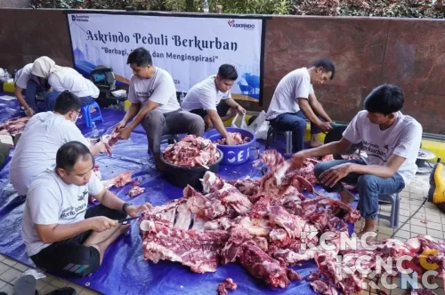 Momentum Idul Adha 1447 H, Askrindo Salurkan Hewan Kurban di Berbagai Kota di Indonesia